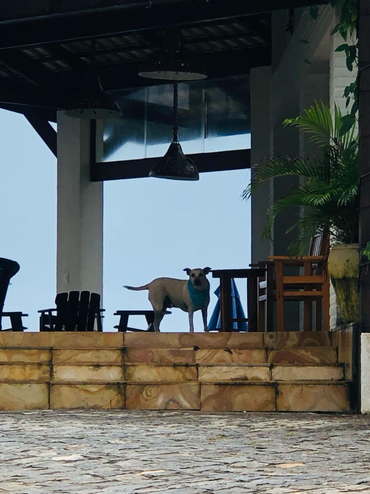 Villa Ava Kite - Guajiru Trairi Luaran gambar